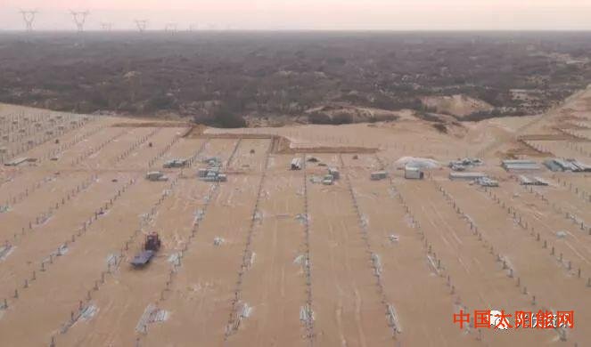 央视真相调查：建光伏电站砍沙漠10万棵树？